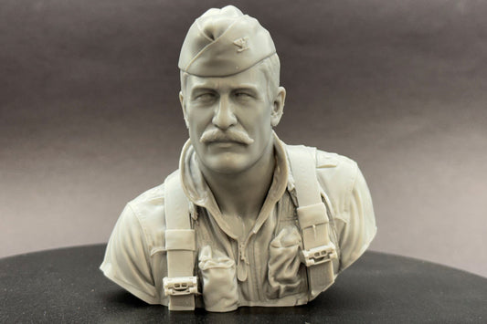 Colonel Robin Olds